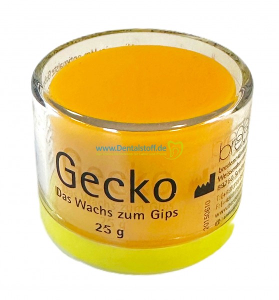 Gecko Modellierwachs